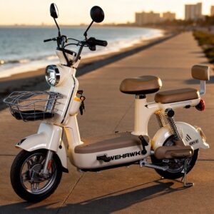 Bicicleta Elétrica WX-21 500W