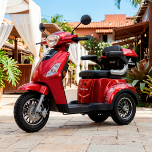 Triciclo Elétrico WX-T01 800W