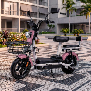 Bicicleta Elétrica WX-04 500W