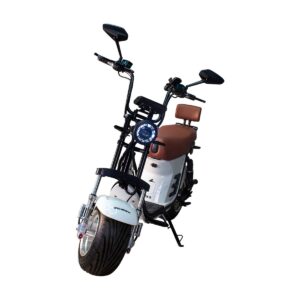 Scooter Bicicleta Eletrica Wx-11 Wehawk 1000w Bat 60v 20ah 2 Lugares