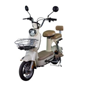 Bicicleta Scooter Eletrica Wx-21 Wehawk 500w Bat 48v 20ah Marfim - Nfc
