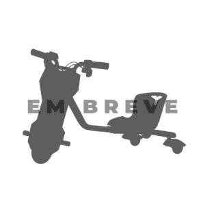 Triciclo Elétrico Drift 350W