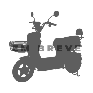 Bicicleta Elétrica WX-15 1000W