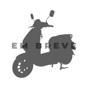 Scooter Elétrica WX-26 1000W